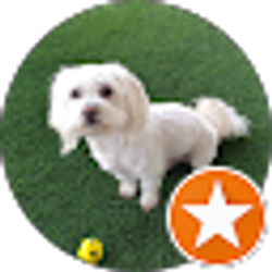 Profile photo of DeenLee A