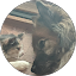 Profile photo of Amber G