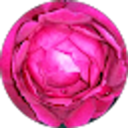 Profile photo of Bertha Crawford