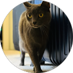 Profile photo of Ferdinand Tadiaman