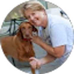 Profile photo of Kim Traylor