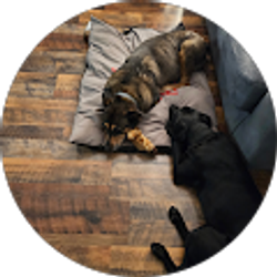 Profile photo of Jennifer Wagner