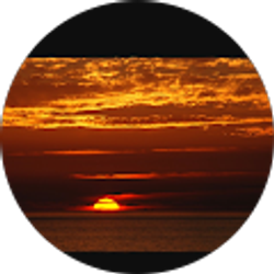 Profile photo of Ester Aranbayev