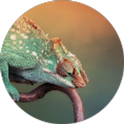 Profile photo of Malik Samara