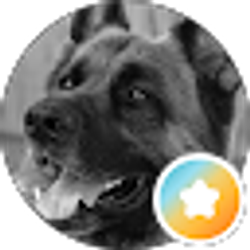Profile photo of Don Gerjevic