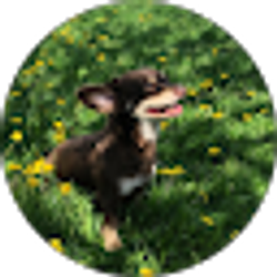 Profile photo of Matthew A