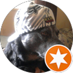 Profile photo of Tammy Harbert