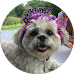 Profile photo of Carrie Searcy