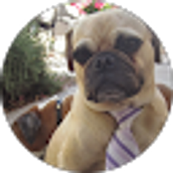 Profile photo of shaun hudson