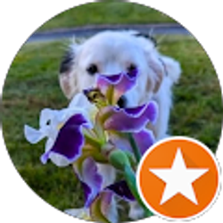 Profile photo of Pattie Thomas