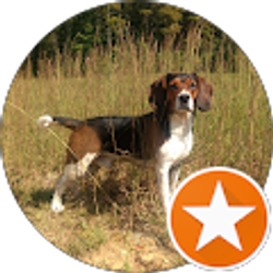 Profile photo of Robert Belcher