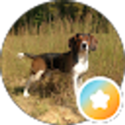 Profile photo of Robert Belcher