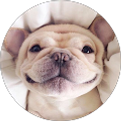 Profile photo of Monica Na