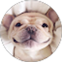 Profile photo of Monica Na