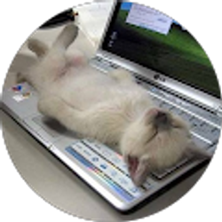 Profile photo of Val Bow