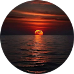 Profile photo of Diana Combs