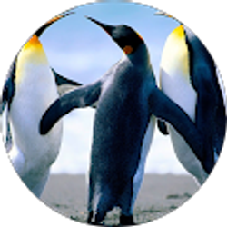 Profile photo of lisselot salas