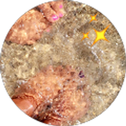 Profile photo of Veronica