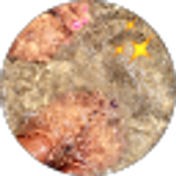 Profile photo of Veronica