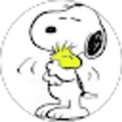 Profile photo of Page Christman