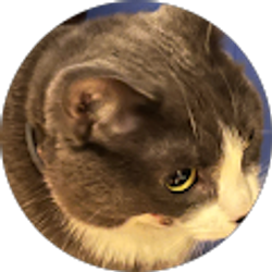 Profile photo of Sheila Simons Hyldelund