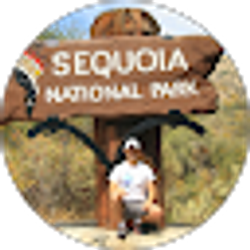 Profile photo of Sorin Iftime