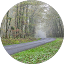 Profile photo of Jeff Marston