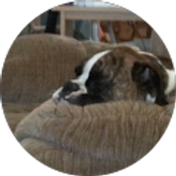 Profile photo of Sandy Kordes