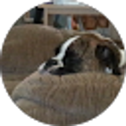 Profile photo of Sandy Kordes