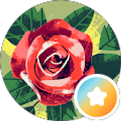 Profile photo of BlackWater Betta