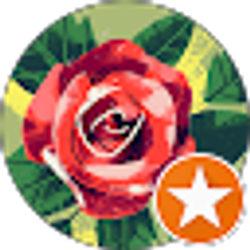 Profile photo of BlackWater Betta