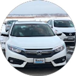 Profile photo of Keleto Pailate