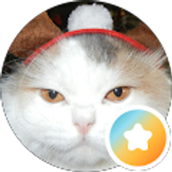 Profile photo of Darlene B