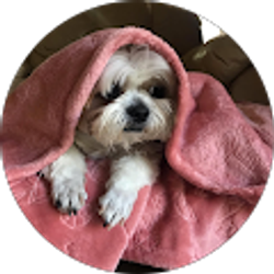 Profile photo of cara b