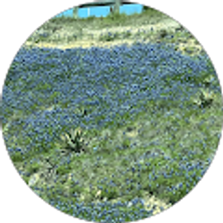 Profile photo of Mary Lowe