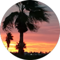 Profile photo of Tiffany Young