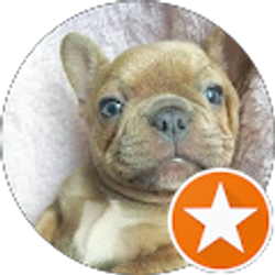 Profile photo of Ray Collins