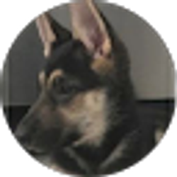 Profile photo of l King Hoop l