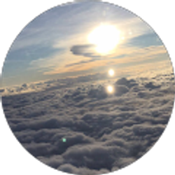 Profile photo of Lupy Avalos