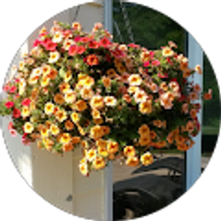 Profile photo of Julie Leszcynski