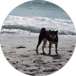 Profile photo of Miki Harkin