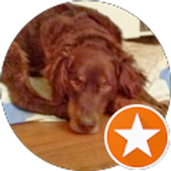 Profile photo of A Sarata