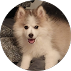 Profile photo of Jeanette Maynard