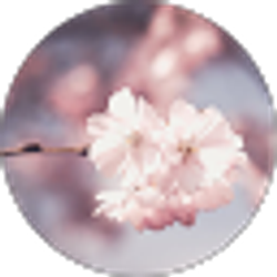 Profile photo of Asiachains