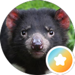 Profile photo of Brett Alan