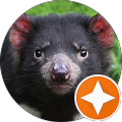 Profile photo of Brett Alan