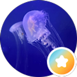Profile photo of Jacky S