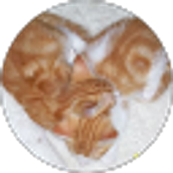 Profile photo of Brittany Weatherford