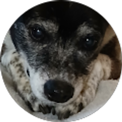 Profile photo of Bonnie Boger Scott-Valente