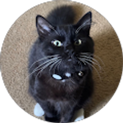 Profile photo of Ismael Cisneros